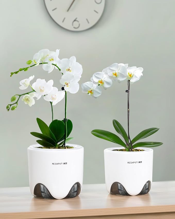 6 inch Orchid Pots with Holes for Repotting with Excellent Airflow, Set of 2, Double Layer Plastic Imitate Ceramic Orchid Planter, Clear Orchid Pot Match Decorative Orchid Container