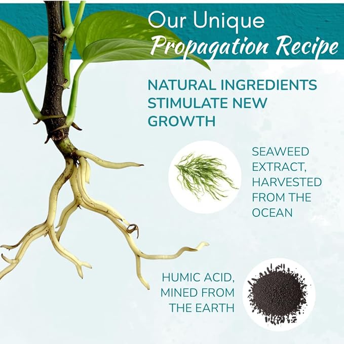 Houseplant Prop Drops - Propagation Promoter & Root Growth Hormone | Root Stimulator for Cuttings | Supports Stronger, Healthier Plants | Easy-to-Use Liquid Formula for Water & Soil Propagation | 8oz