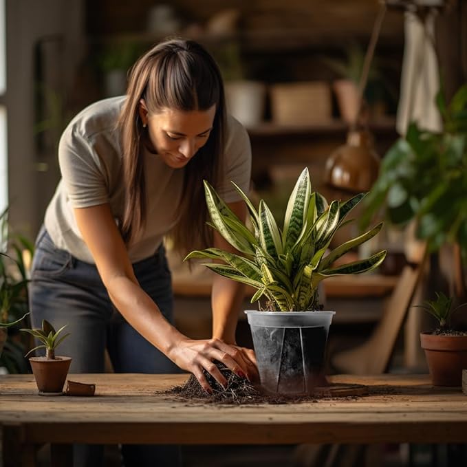 30 pcs 5/6 inch Clear Nursery pots,Thick Plastic Clear Plant pots with Drainage Holes for Orchids,Succulents etc,Outdoor or Indoor use