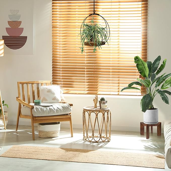 Hanging Planters for Indoor Plants - Plant Hanger Outdoor Pack of 2, Metal Plant Hanger Mid Century, Hanging Wall Ceiling Window, Gift for Mom, Plant Lovers, Housewarming