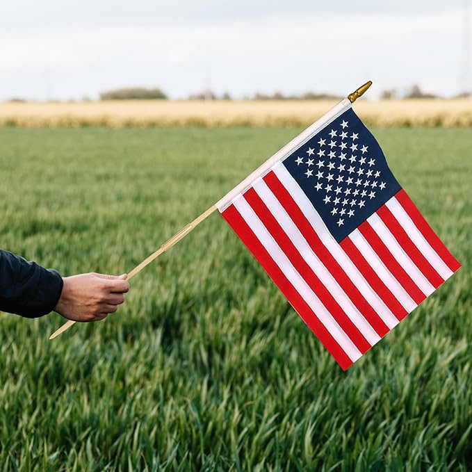 12 Pcs 12x18 Inch American Flags on Stick, American Flags for Outside, USA Stick Flag with Handheld and Grounded Multi-Purpose Flagpole, Memorial Day Decorations, 4th of July, Veterans Day, Patriotic Decorations