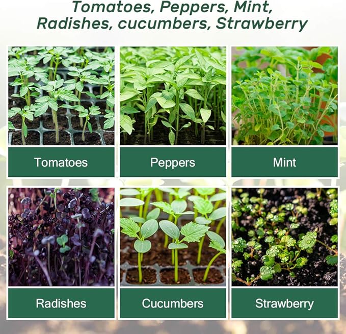 Bonviee 5-Pack Seed Starter Trays, Seed Starter Kit with Adjustable Humidity Dome and Base Indoor Greenhouse Mini Propagator for Seeds Growing Starting (12 Cells Per Tray, Green)