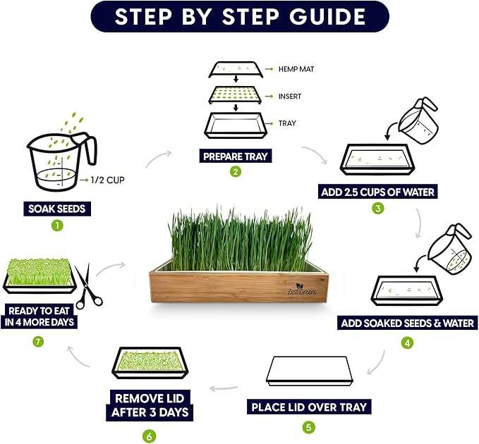 Cat Grass Refills for Self Watering Cat Grass Kit - 4 Mats and 4 Cat Grass Seed Packets (Cat Grass Refill Kit)