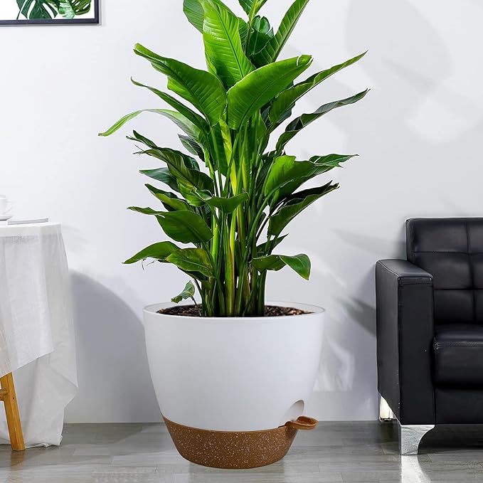 12 inch Large Self Watering Pots, Plastic Planters with 60oZ Removable Deep Reservoir and Multi Mesh Drainage Holes for Indoor Outdoor Garden Plants and Flowers, White with Brown