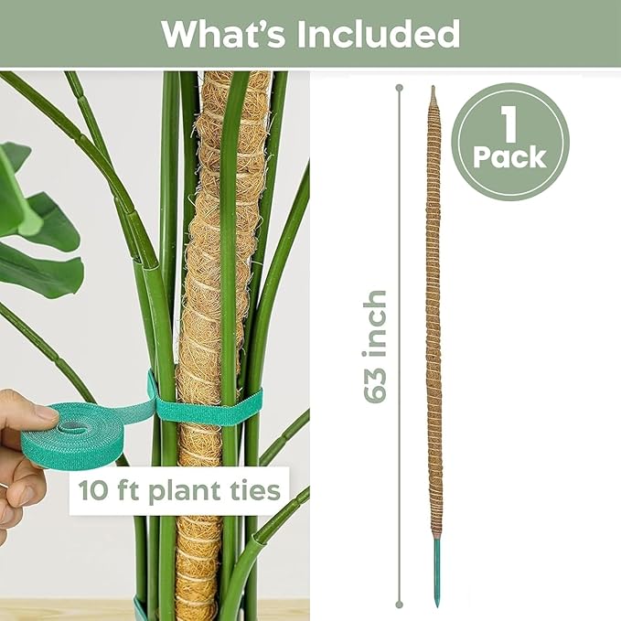 63'' Bendable Moss Pole Monstera Plant Support for Climbing Indoor Plants - Stakes for Potted Climbers - Tall Sticks Indoor Trellis for Houseplants - Accessories for Monstera Pot