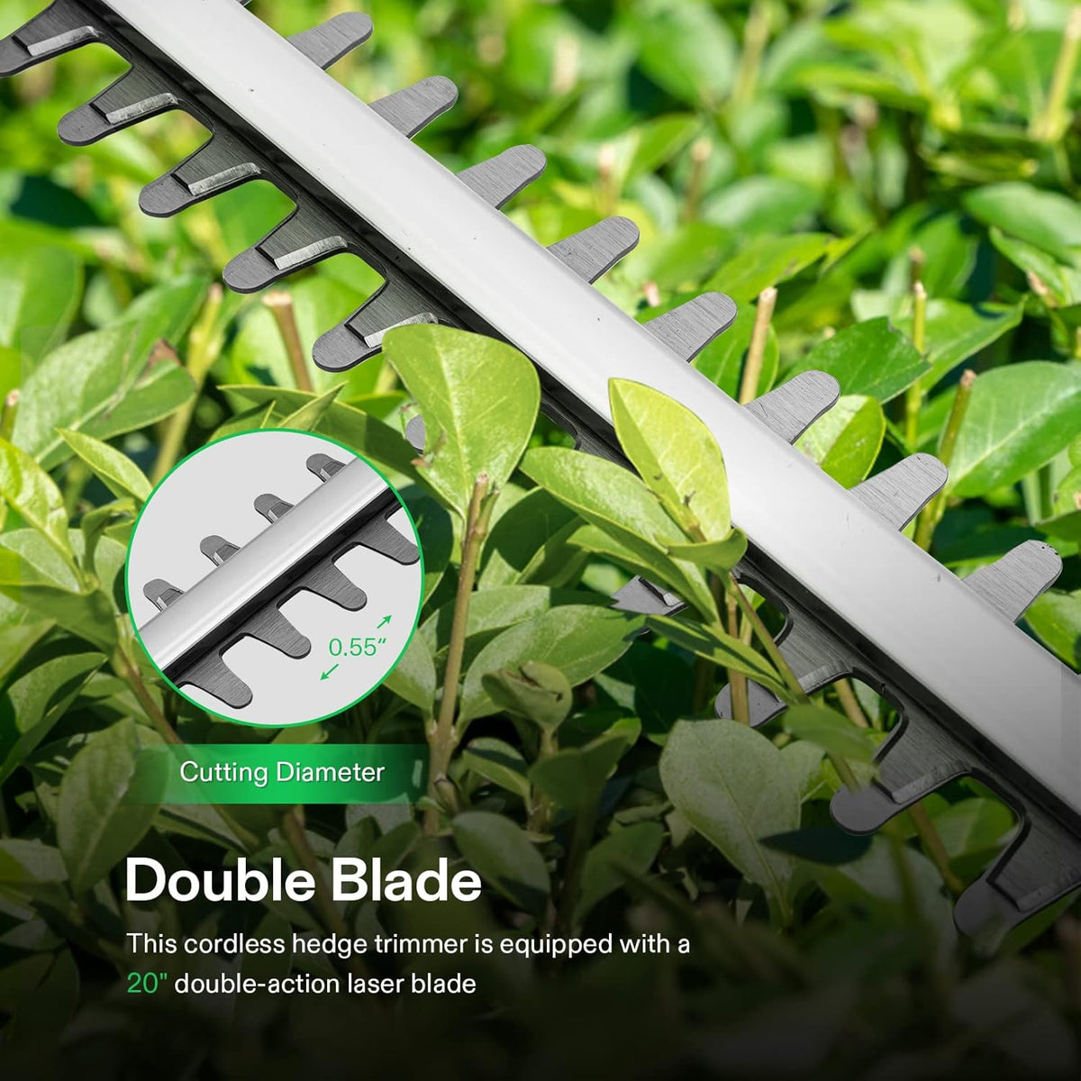 VIVOSUN 20" Cordless Pole Hedge Trimmer, 20V Electric Bush Trimmer with 20” Dual-Action Laser Blade, Adjustable Cutting Head, 0.55" Cutting Capacity, 2.0AH Battery and Fast Charger Included