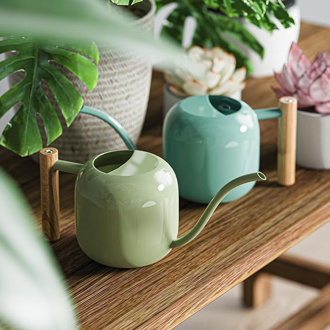 Green Moon Watering Can Indoor Plants 1.2L/41oz Sage Green Water Can Indoor Metal Small Water Can Pot with Long Spout for House Bonsai Plants Garden Flower Decorative
