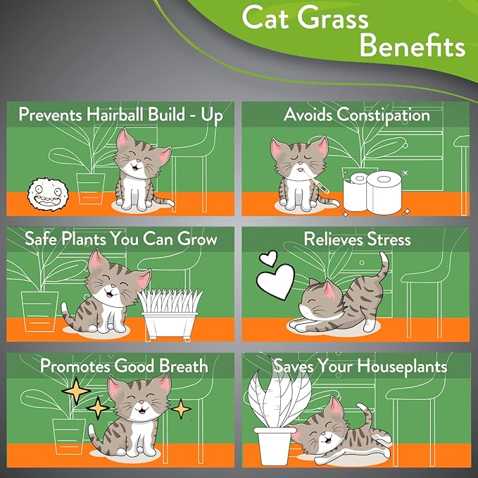 HOME GROWN 3 Cat Grass Seed Mix – Non-GMO Heirloom Oat, Alfalfa & Cat Grass Seeds | Indoor Pet Grass for Cats | High-Germination Greens for Hairball Control, Digestion, and Chewing Enrichment