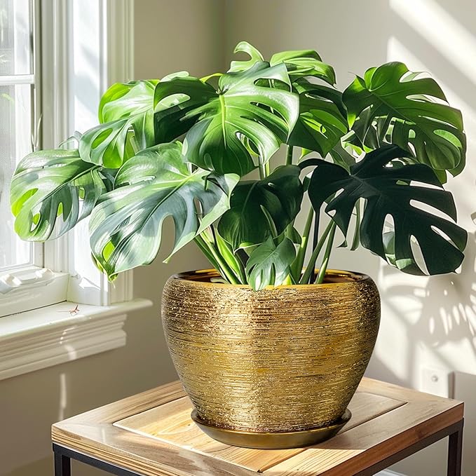 Ceramic Planter 10 Inch - Indoor Plant Pot with Drainage Hole and Saucer Large Decorative Planter Mid-Century Modern Flower Pot Outdoor for Home Decor Gold