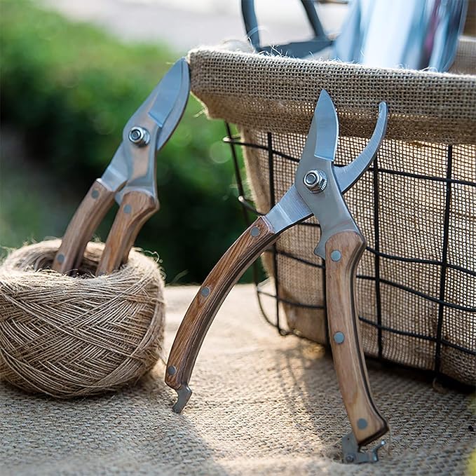 BUGUI 8β Wood Handle Garden Scissors, Set of 2, Includes Bypass Pruning Shears and Long Straight Tip Clippers, Premium Gardening Tools with Precision-Ground SK-5 Steel Blade