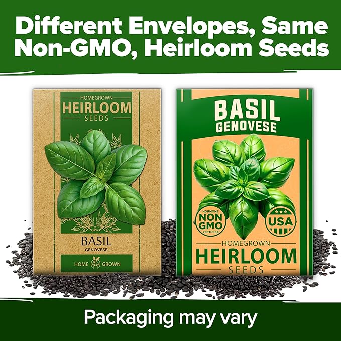 HOME GROWN Genovese Basil Seeds 2 Pack - 3500 π‘π’π‘-ππ π’ π¨π¦π Heirloom Basil Seeds for Planting (Ocimum basilicum) - Herb Seeds for Indoor & Outdoor Gardening - Grow for Culinary Use