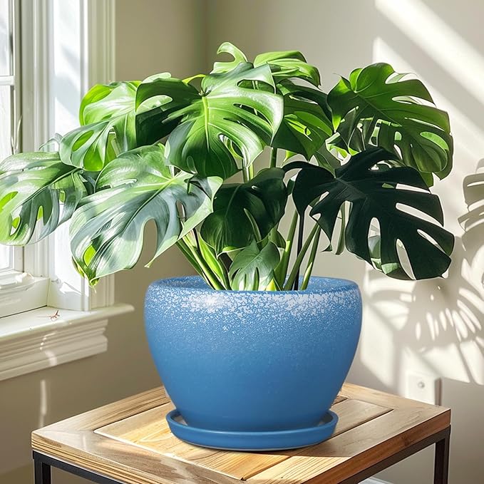 Ceramic Planter Pot 10 Inch - Ceramic Plant Pot for Indoor Outdoor Plants, Large Flower Pot with Drainage Hole and Saucer, Blue