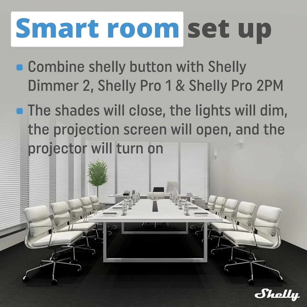 Shelly Pro 2PM | Wi-Fi & LAN 2-Channel Smart Relay with Power Metering | Home Automation | Compatible with Alexa & Google Home | iOS Android App | Remote Appliances Control & Monitoring