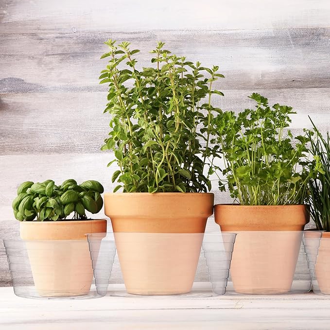 Hoolerry Plastic Plant Saucer Clear Deep Drip Tray Thickened Clear Plant Saucers Trays for Pots Deep Drip Trays for Home Garden Indoor and Outdoor Potted(15 Pcs,8, 10, 12 Inch)