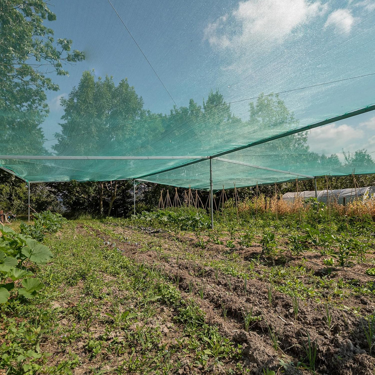 Woanger 10 x 100 ft Garden Mesh Netting Ultra Fine Plant Covers Garden Netting to Protect Vegetable Plants Fruits Flowers Crops Greenhouse Row Cover Patio Barrier Screen Protection Net (Green)