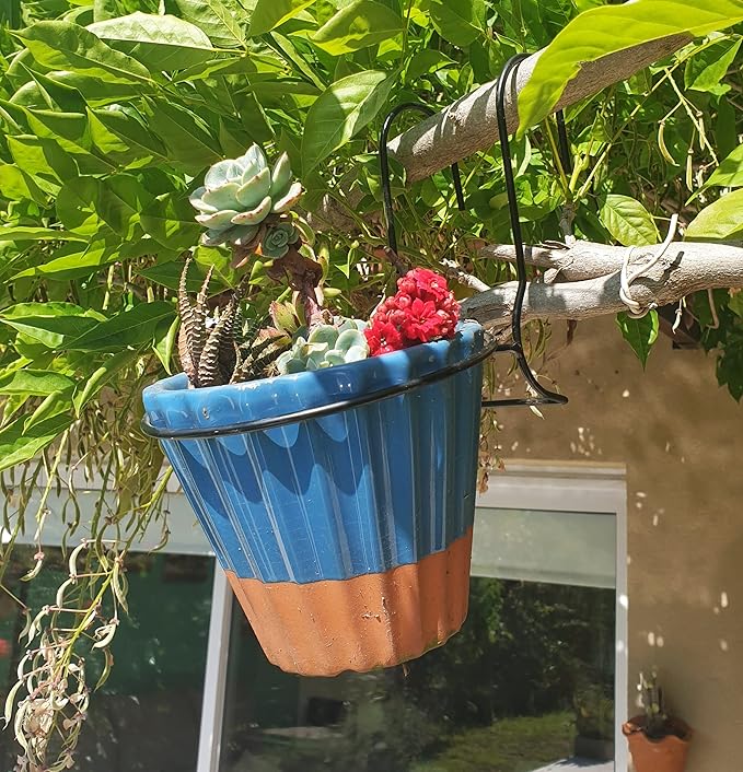 6 Pieces, 4 inches Iron hanging Flower Pot. Metal Plant Wall Hanger, Vertical Yard Garden. Planter Hook Ring, Rail Metal Fence. Indoor and Outdoor. Wire Trellis. Collapsible Bracket. (4 inches)