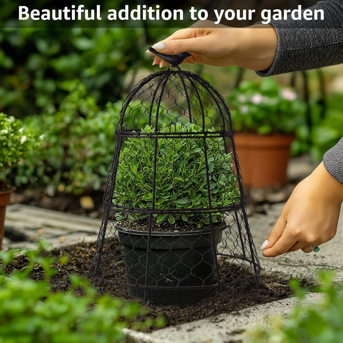 Pack of 6 Heavy-Duty Chicken Wire Plant Cloches – Rustproof Garden Protectors and Plant Cages for Vegetables and Flowers – Safeguard Plants from Deer and Critters – 20” x 12”
