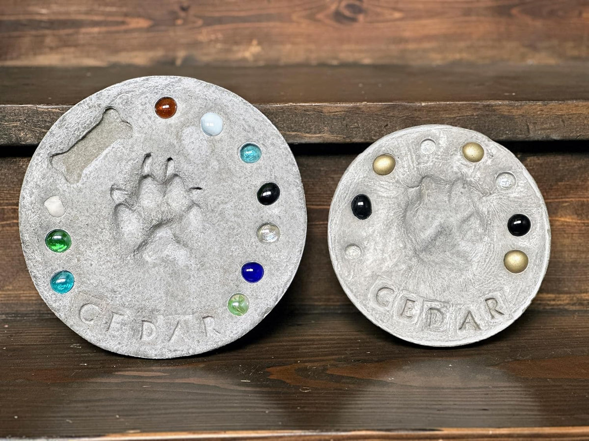 DIY Paw Print Stepping Stone Kit, Pet Memorial Stone, Pet Garden Stone (10 Inch)
