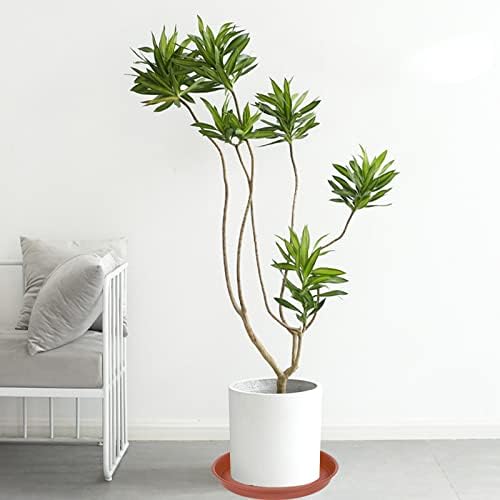 2 Pack of 20 22 inch Plant Saucer (19.1 inch Base), 3.6" Depth Tray, Large Deep Heavy Duty Saucers for Pots, Garden Bird Bath Bowl, Plant Trays for Indoors Outdoor (21", Terracotta)