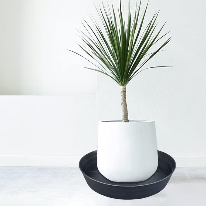 20 Inch Extra Large Plant Saucers, Extra-Deep 3.7 in Black Drip Trays for Flower Pot, Heavy Duty Drainage Tray Indoors No Holes, 3 Pack Plastic Planter Plate Water Catcher for Pots Base 16 17 18 in