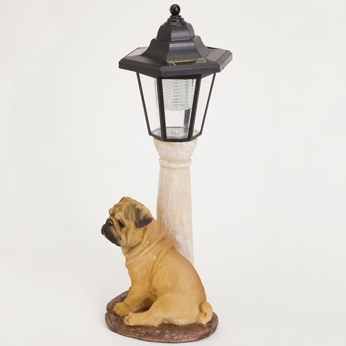 Bits and Pieces-Solar Light Fawn Pug-Solar Powered Garden Lantern - Resin Dog Sculpture with LED Light