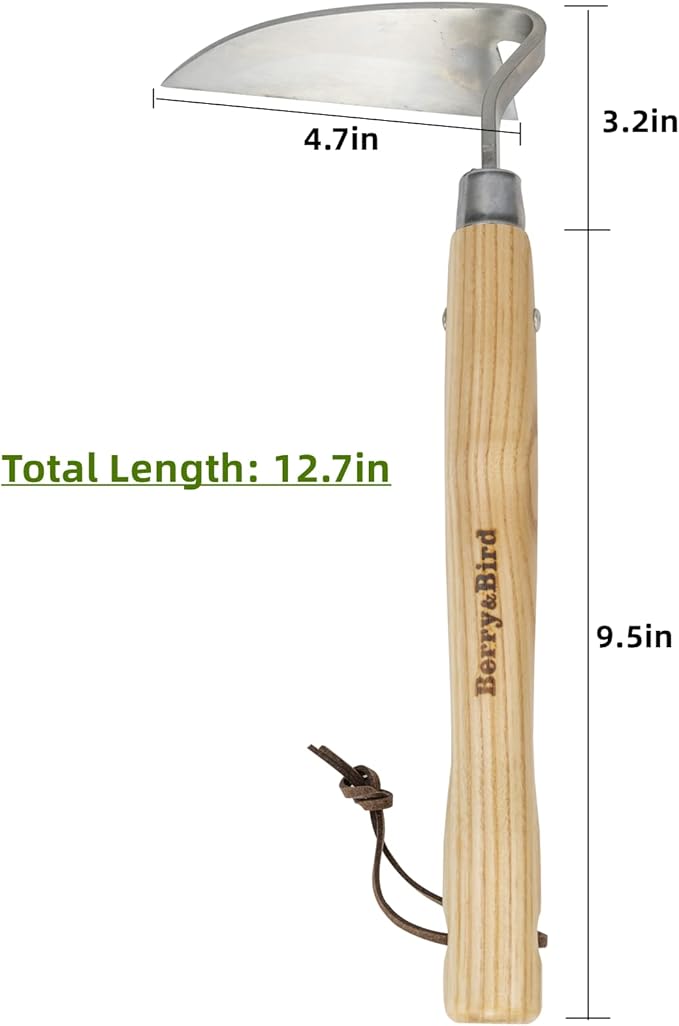 Berry&Bird Japanese Weeder-Scraper-Hoe, 12.67-Inch Gardening Sickle Hoe, Stainless Steel Bent Angle Weeding Sickle, Weeder Hoe with Ergonomic Ash Wood Handle for Weeding, Soil loosening, Digging
