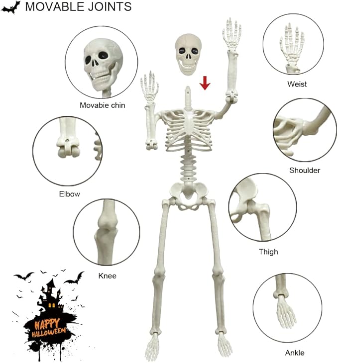 CAMIRUS 2PACK Plastic Posable Halloween Skeleton Decorations, 3FT Poseable Skeleton Full Body with Movable Joints for Halloween Indoor/Outdoor Haunted Houses, Lawn, Graveyard Decor