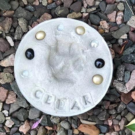 DIY Paw Print Stepping Stone Kit, Pet Memorial Stone, Pet Garden Stone (8 Inch)