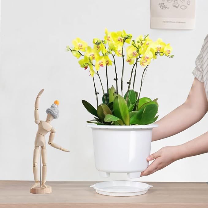8 Inch Orchid Pots with Holes and Saucers,Double Layer Plastic Large Orchid Planter Pot,Flower Pots for Indoor Outdoor Flower Plants,Orchids,Herbs,Snake Plants and Succulents