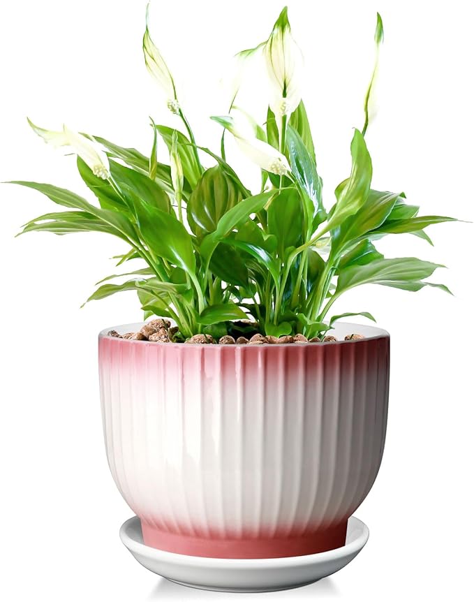 8 Inch Plant Pot, Ceramic Planter with Drainage and Saucer, Ceramic Pots for Plants, Indoor Plant pots,Flower pots(Pink + White, Plants NOT Included)