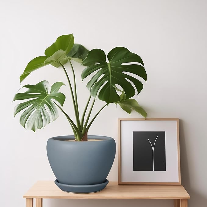 Ceramic Pot for Plants - 6 Inch Plant Pot Indoor with Drainage Hole and Saucer Decorative Planter for Outdoor Plants Modern Succulent Pot Round Flower Pot Gray