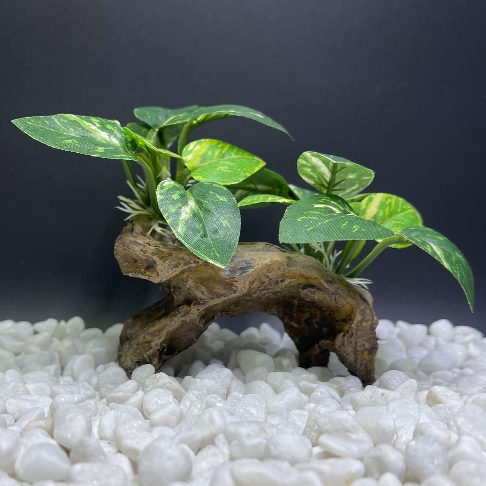 Smoothedo-Pets Fish Tank Decorations Aquarium Decor Ornaments Betta Silk Leaf pad Hammock Artifical Driftwood cave Goldfish Bowl Accessories (Type-C)