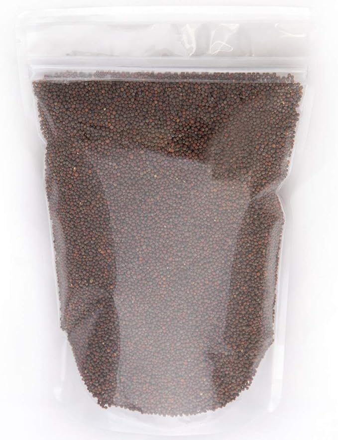 Broccoli Seeds for Sprouting & Microgreens | Waltham 29 Variety | Non GMO & Heirloom Seeds | Bulk 1 LB (16 oz) Resealable Bag | Rainbow Heirloom Seed Co.