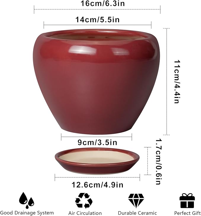 Ceramic Pot for Plants - 6 Inch Plant Pot Indoor with Drainage Hole and Saucer Succulent Outdoor Planter Round Flower Pot for House Patio Decor Red