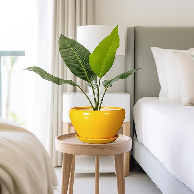 Ceramic Planter 9 Inch - Mid-Century Round Modern Plant Pot Indoor with Drainage Hole and Saucer for Outdoor Plants, Balcony House Garden Patio Home Decor, Yellow