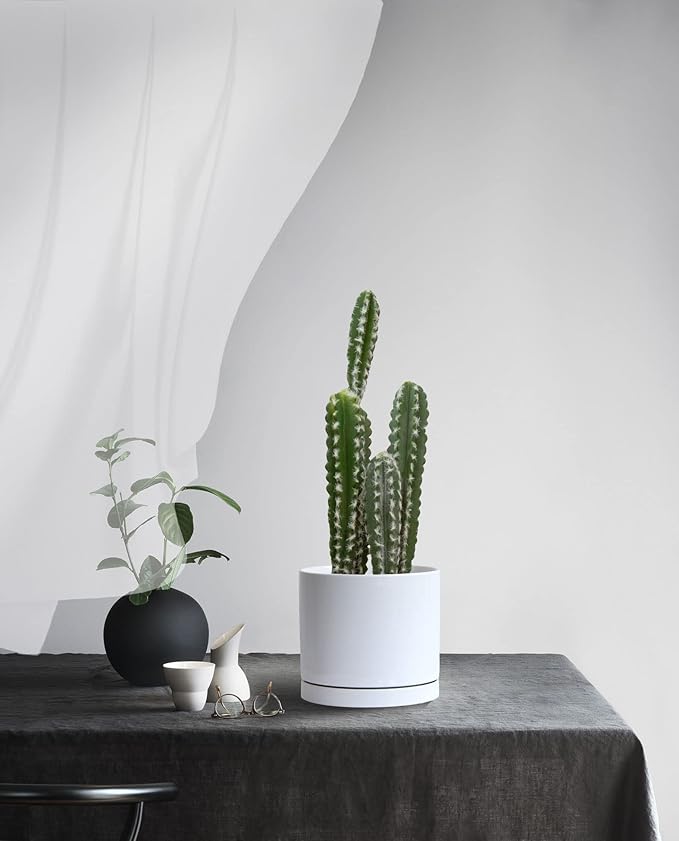 Aveyas 8 inch Ceramic Plant Pot with Drainage Hole and Saucer - Suitable for Indoor and Outdoor Use, Modern Planters for House Garden Flower Tree Snake Monstera Plants (8", Glossy White)