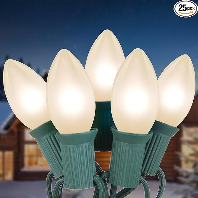 25ft Warm White Christmas Lights Outdoor,Frosted White Christmas Lights with 26 Incandescent Bulbs(1 Spare),Hanging Vintage Christmas Lights for Patio Holidays Christmas Tree Decor