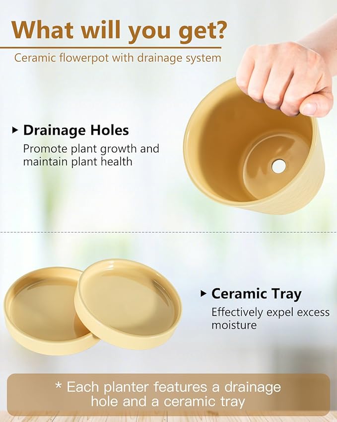 Ceramic Plant Pots –5 inch Indoor Flower Pot with Drainage Hole and Ceramic Tray - Gardening Home Desktop Office Windowsill Decoration Gift, Set of 4-Plants NOT Included(Yellow)