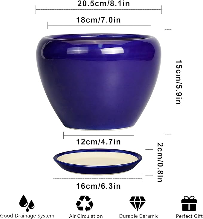 Ceramic Plant Pot 8 Inch - Planter for Outdoor Plants Indoor Plant Pot with Drainage Hole and Saucer Decorative Round Planter Modern Flower Pot for House Decor Blue
