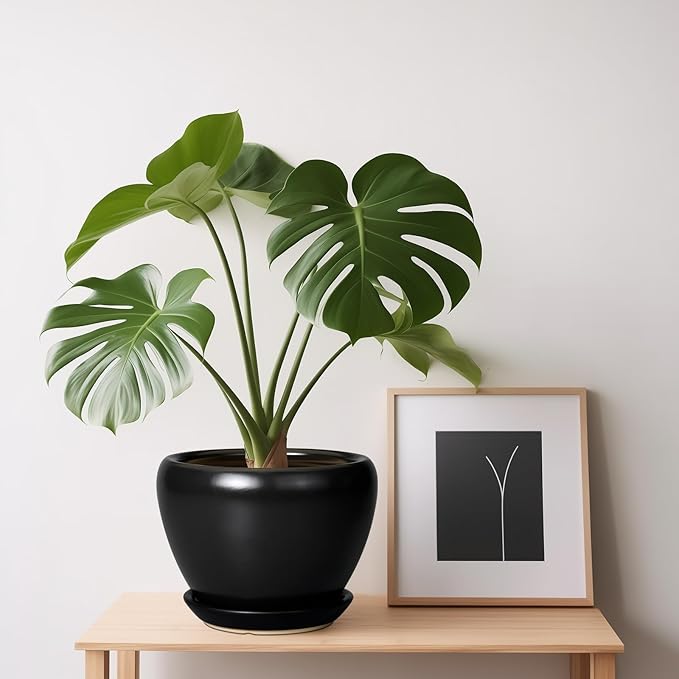 Ceramic Planter Pot - 6 Inch Plant Pot with Drainage Hole and Saucer Round Planter for Indoor Plants Outdoor Succulent Pot Modern Flower Pot for Home Decor Black