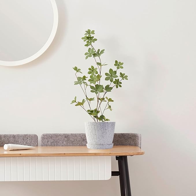 6 Inch Plant Pots Bulk, 6 Pack Plastic Planters with Drainage Holes and Saucers for Indoor Outdoor House Plants and Flowers,White Spots