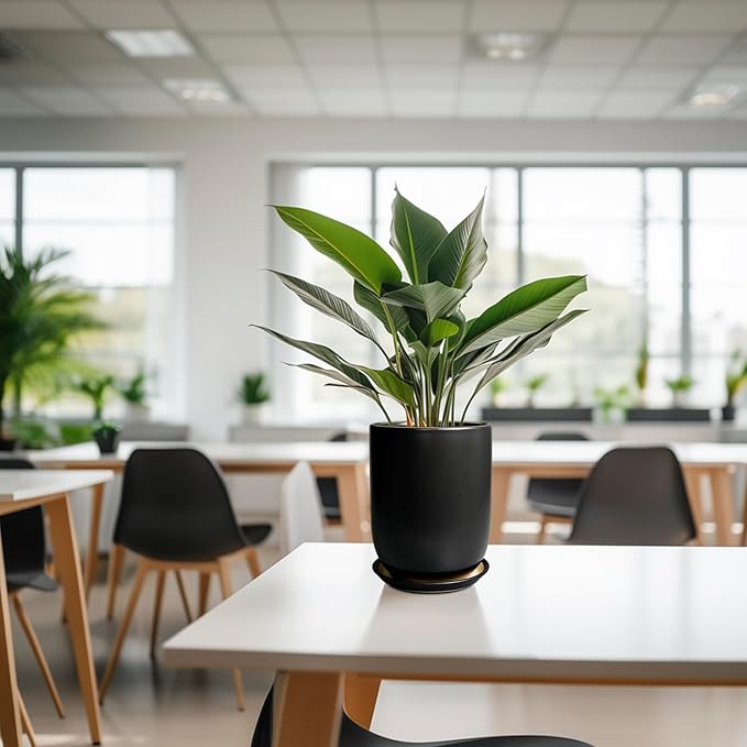 Ceramic Planter 8 Inch - Plant Pot for Indoor Outdoor Plants Cylinder Flower Pot with Drainage Hole and Saucer Black