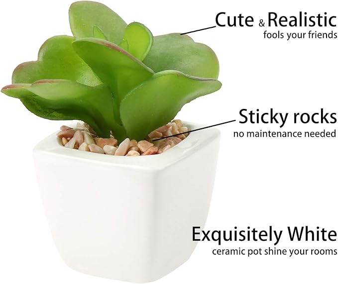 Hollyone Succulents Plants Artificial 4Pcs Small Fake Succulents in Pots Faux Plastic Potted Plants with White Ceramic Pot for Home Decor Office Desk Bathroom Shelf Indoor & Outdoor Decoration