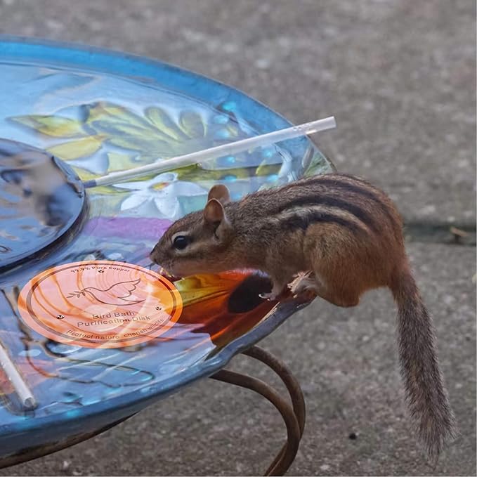 2Pack Bird Bath Copper Purification Disk | 0.6mm Reinforced 99.9% Pure Copper | Universal Fit for Outdoor Birdbaths(Birdbath Copper 2 Pack)