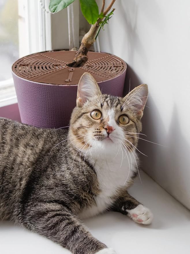 6 Pcs Plant Pot Grid Cover Protectors from Animals- Diameter 11.8" Cuttable Flower Pot Cover with 48 Stakes, Keep Cats Out of Potted Plants, Cat Digging Stopper Baby Safety Soil Cover for Indoor