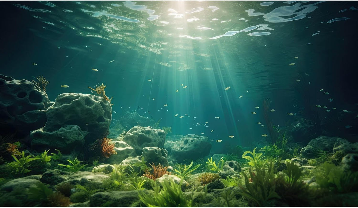 Under The Sea Aquarium Background Deep Sea Aquatic Plants Fish Tank Background Underwater Rock Sunray Terrarium Backgrounds Tropical Fish Deep Ocean Floor Fish Tank Backgrounds 72x24in