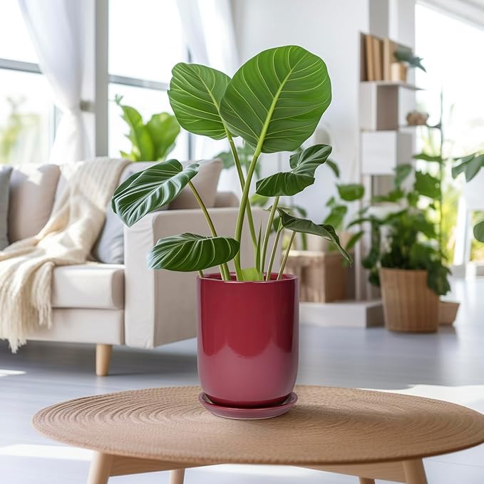 Ceramic Pot for Plants - 8 Inch Plant Pot Indoor with Drainage Hole and Saucer Cylinder Flower Pot for Indoor Outdoor Plants Home Patio Office Decor Red