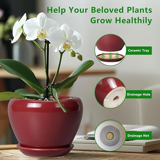 Ceramic Pot for Plants - 6 Inch Plant Pot Indoor with Drainage Hole and Saucer Succulent Outdoor Planter Round Flower Pot for House Patio Decor Red