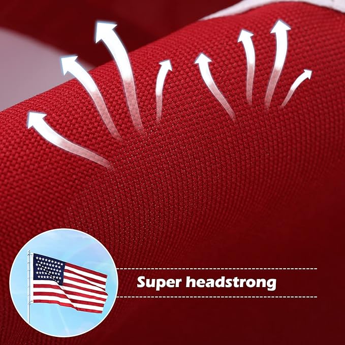 American Flag 2.5x4 Ft Deluxe Water Resistant Series Made From Heavy Duty Super Tough Spun Polyester/Embroidered Stars/Sewn Stripes/Brass Grommets,US Flags Perfect for Outside