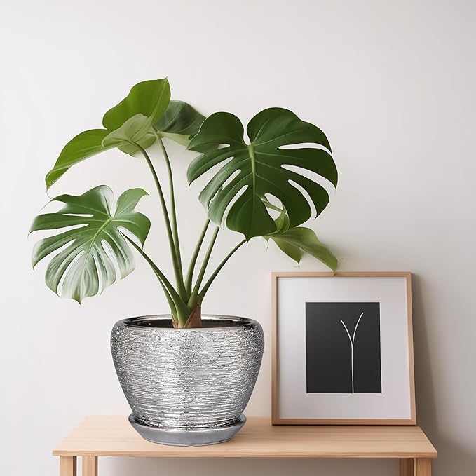 Ceramic Planter - 6 Inch Plant Pot Indoor with Drainage Hole and Saucer Outdoor Pot for Plants Round Decorative Planter Modern Mid-Century Flower Pot for Office Decor Silver